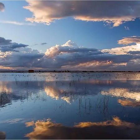 Ca Erik Séjour à la campagne *